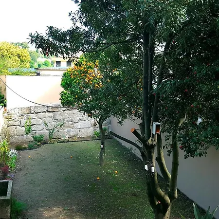Boavista Charming With Garden By Great&cosy *