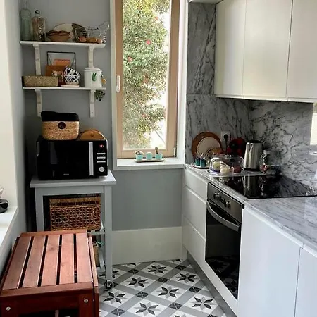 Boavista Charming With Garden By Great&cosy Apartment